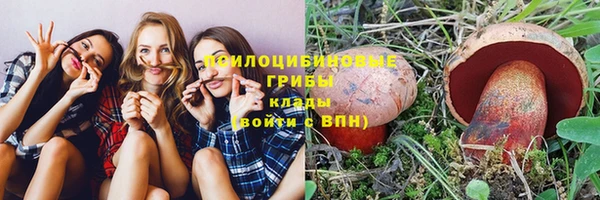 а пвп мука Армянск